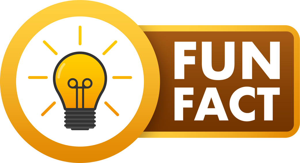 Fun fact label. light bulb. Vector stock illustration.